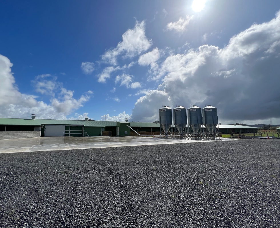 New Zealand poultry shed design and construction