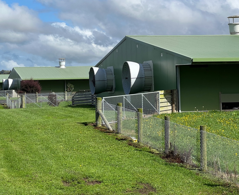 New Zealand agriculture building design and construction