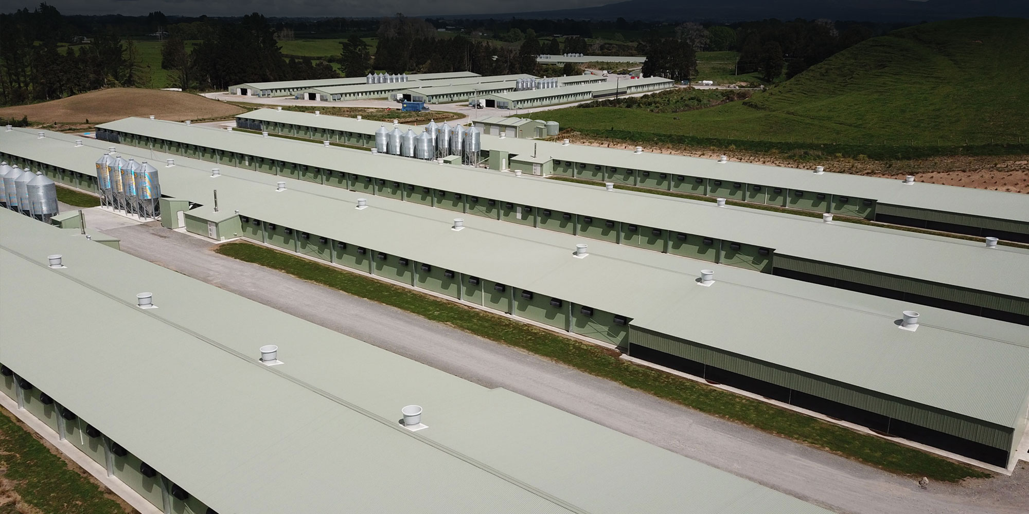 New Zealand food processing building design and construction