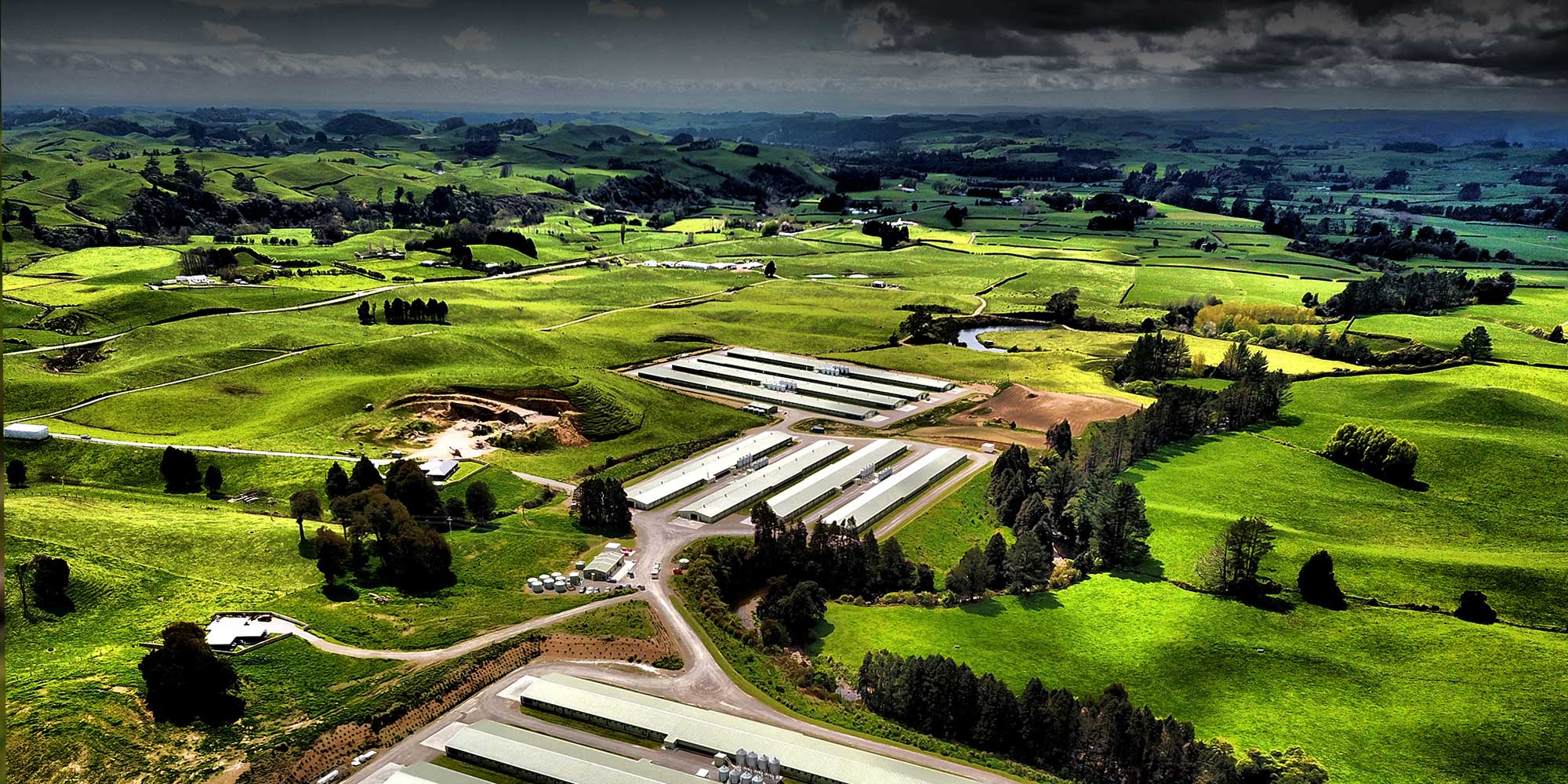 New Zealand poultry shed design and construction